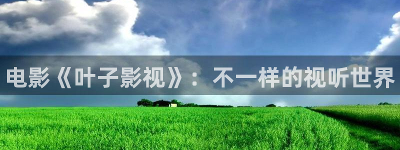 天空出现大片黑鸟是怎么回事：电影《叶子影视》：不一样的视听世界