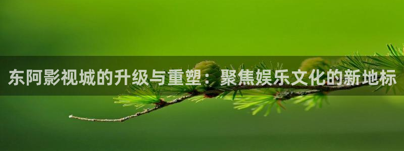 天空影视网：东阿影视城的升级与重塑：聚焦娱乐文化的新地标