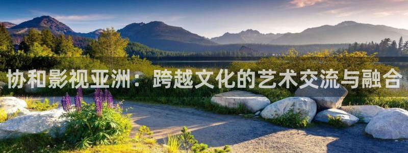 电影燃野少年的天空免费观看正片：协和影视亚洲：跨越文化的艺术交流与融合
