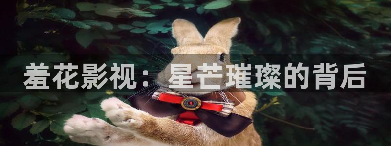 给我下载软天空：羞花影视：星芒璀璨的背后