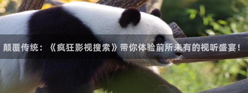 滚动的天空怎么下载破解版：颠覆传统：《疯狂影视搜索》带你体验前所未有的视听盛宴！