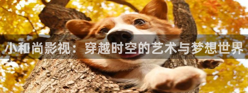 缘分的天空免费观看完整版在线全集：小和尚影视：穿越时空的艺术与梦想世界