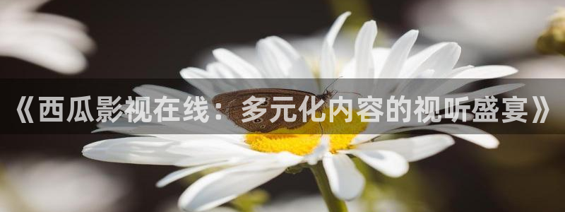 天空影视app官网：《西瓜影视在线：多元化内容的视听盛宴》