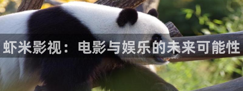 天空动漫在线观看免费全集：虾米影视：电影与娱乐的未来可能性