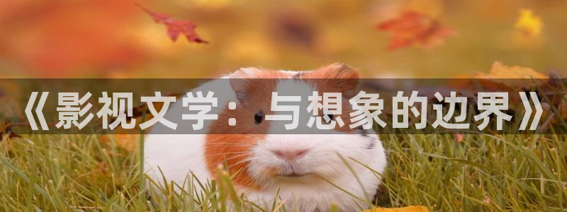 天空云彩视频：《影视文学：与想象的边界》