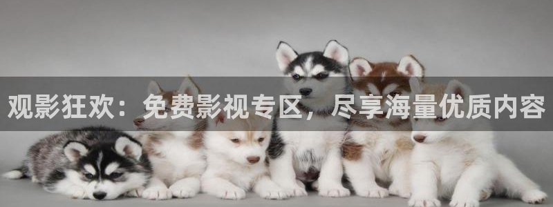 天空电视台：观影狂欢：免费影视专区，尽享海量优质内容